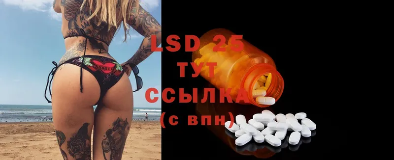 Лсд 25 экстази ecstasy  Уржум 